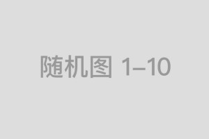六亲无靠指代表是什么生肖，词语解释落实释义